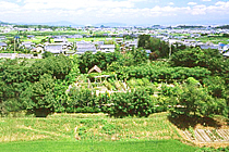 �~�n�ʐρ@��20,000m2